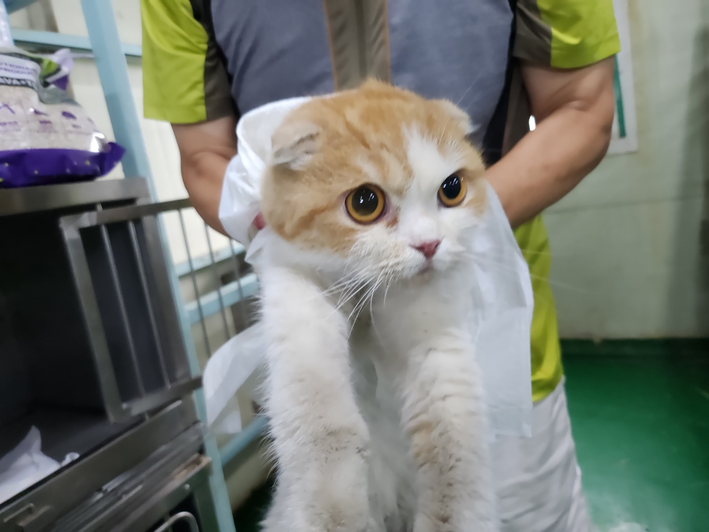 인천광역시수의사회_428353202300845