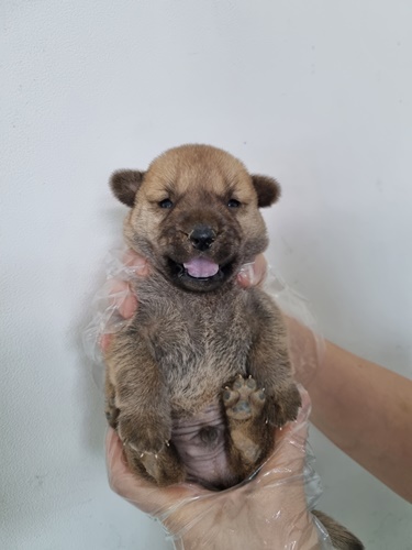 최동물병원_444462202300501
