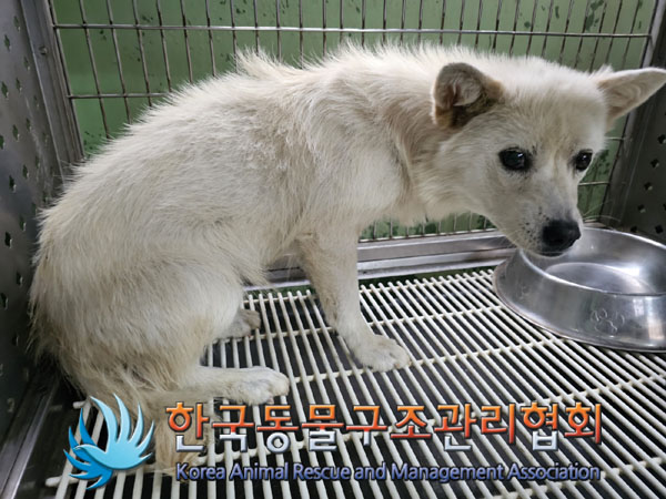 한국동물구조관리협회_441559202300662