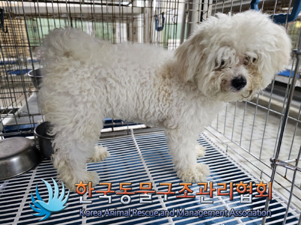 한국동물구조관리협회_411310202300294