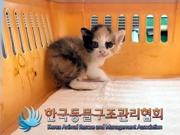 종료(자연사) 한국…