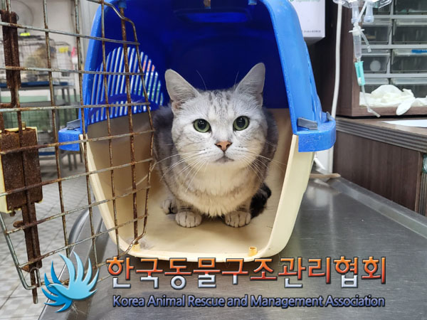 한국동물구조관리협회_411309202300274