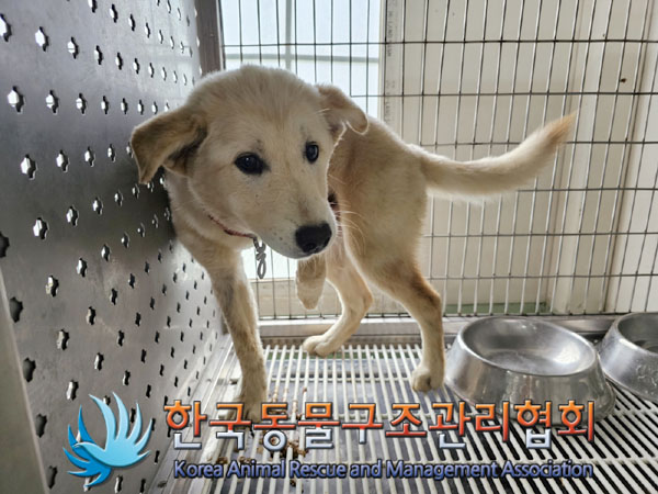 한국동물구조관리협회_441406202301010