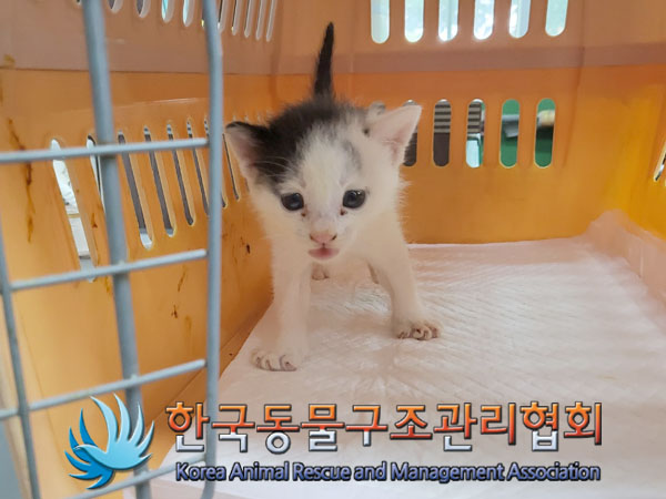 한국동물구조관리협회_411323202300684