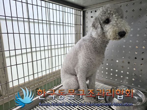 종료(반환) 베들링…