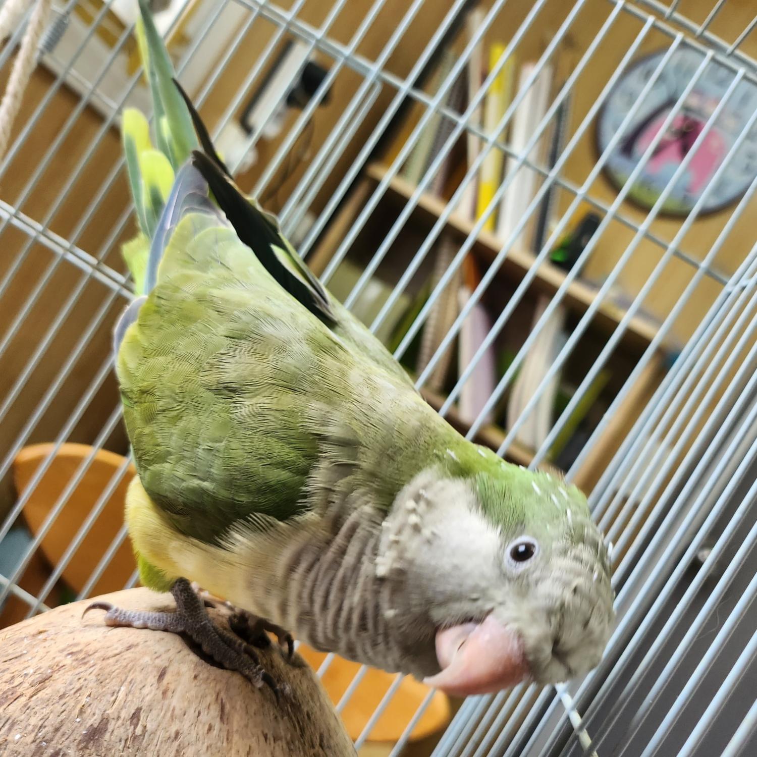 울산유기동물보호센터_431370202300661