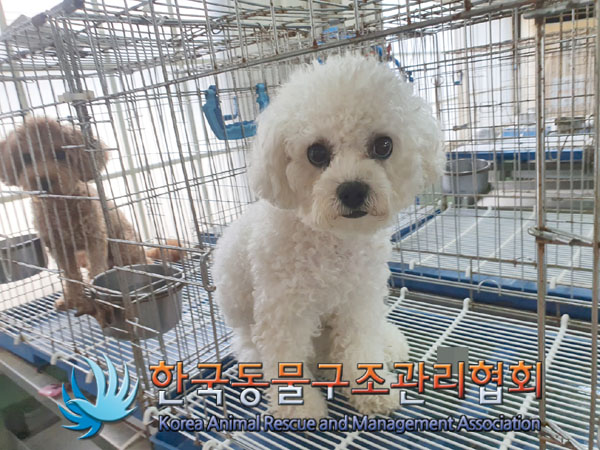 한국동물구조관리협회_411315202300458