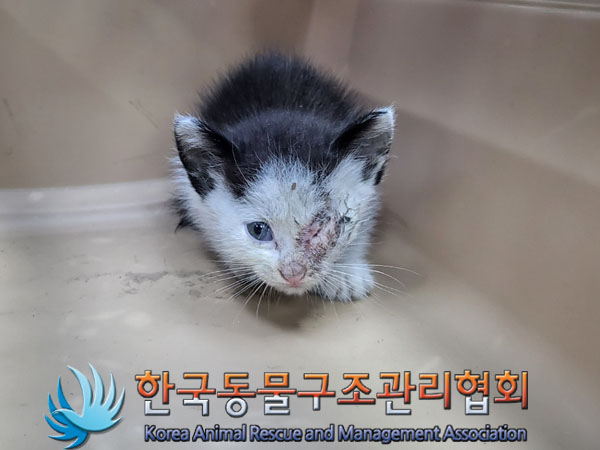 한국동물구조관리협회_411306202300472