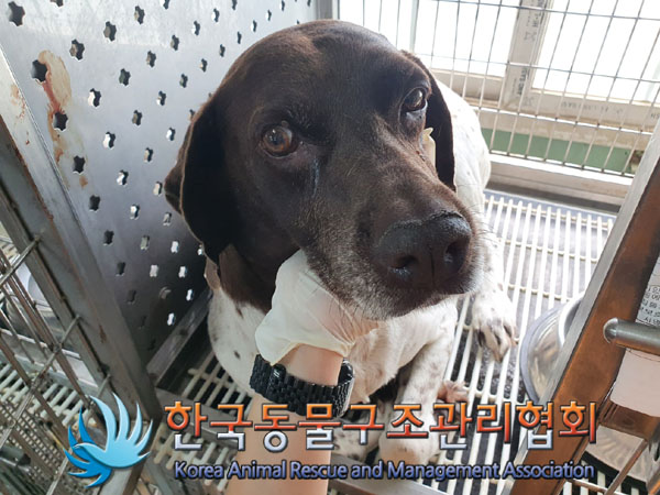 한국동물구조관리협회_441560202300878