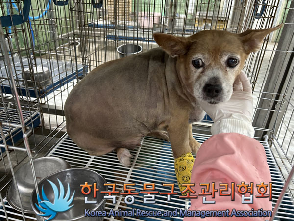 한국동물구조관리협회_411306202300470