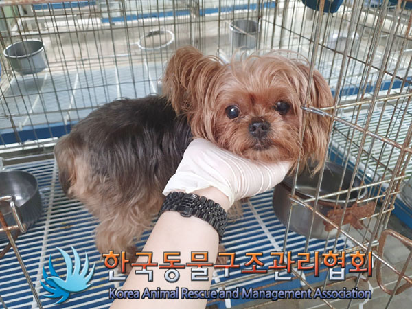 한국동물구조관리협회_411305202300361