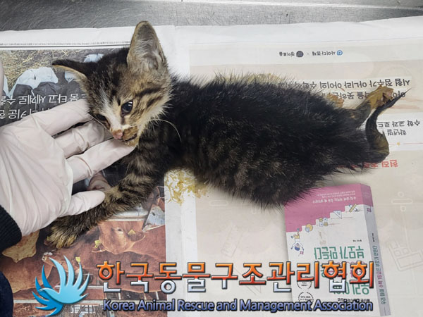 한국동물구조관리협회_411305202300360