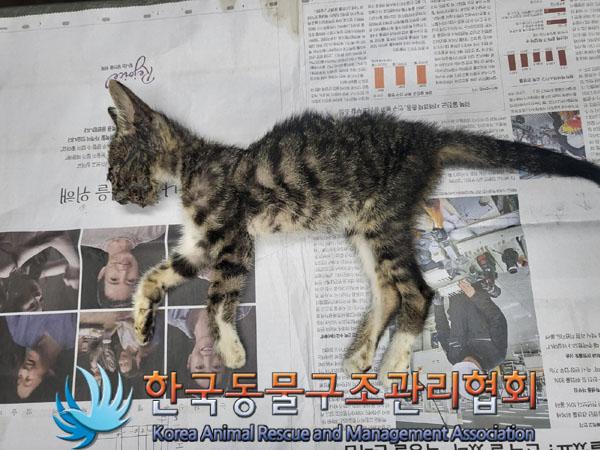 종료(자연사) 한국…