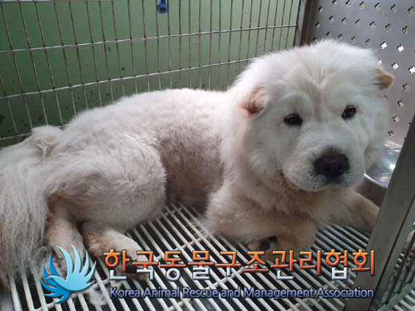한국동물구조관리협회_441560202300880