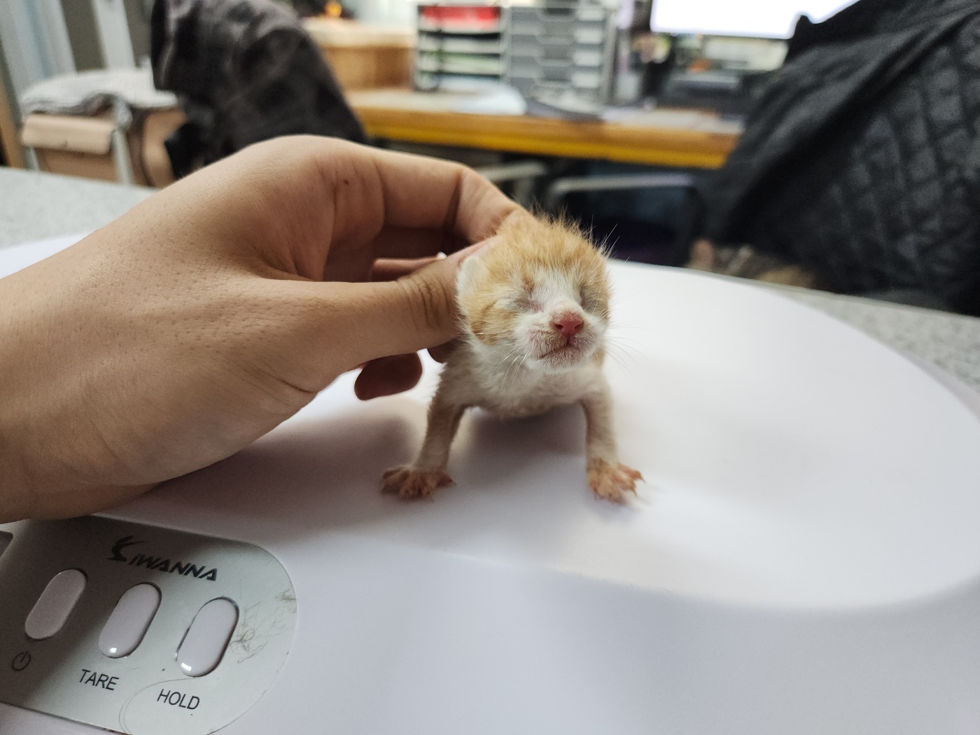 광주 동물보호소_429363202300632