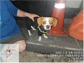 대전동물보호센터_430365202300318