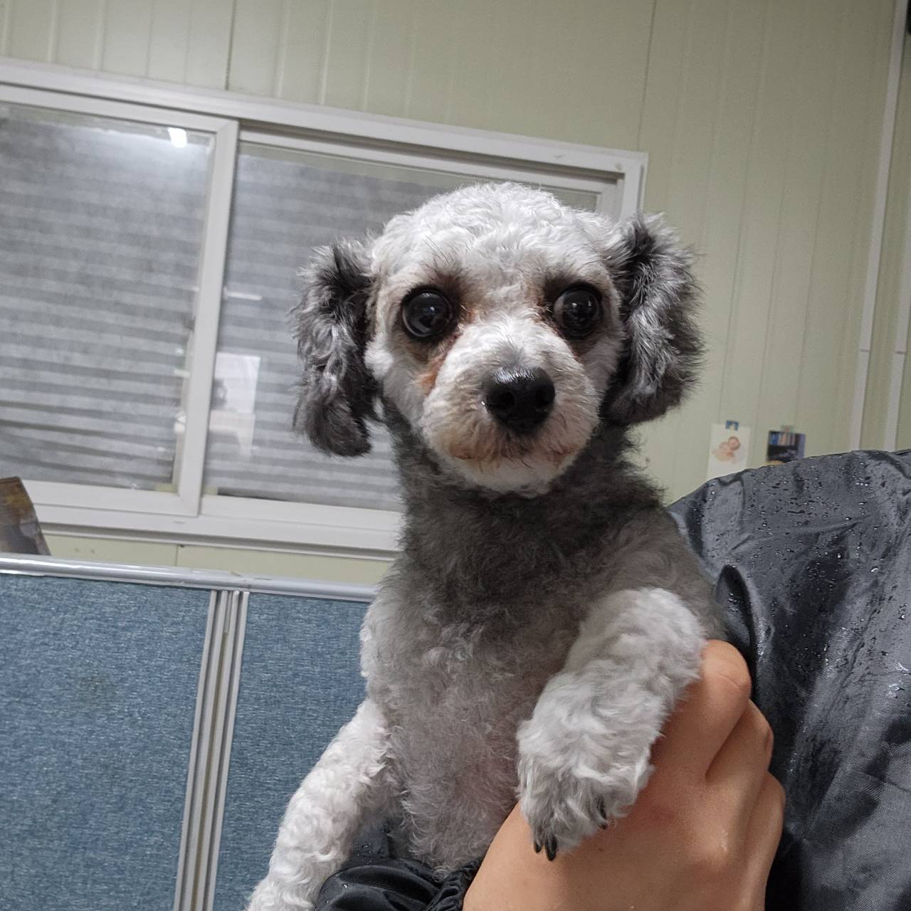 한국야생동물보호협회_441393202301239