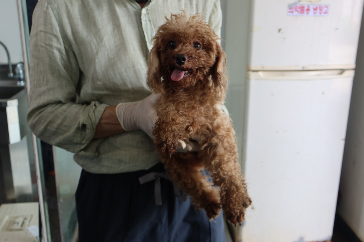 제주 동물보호센터_450650202302337