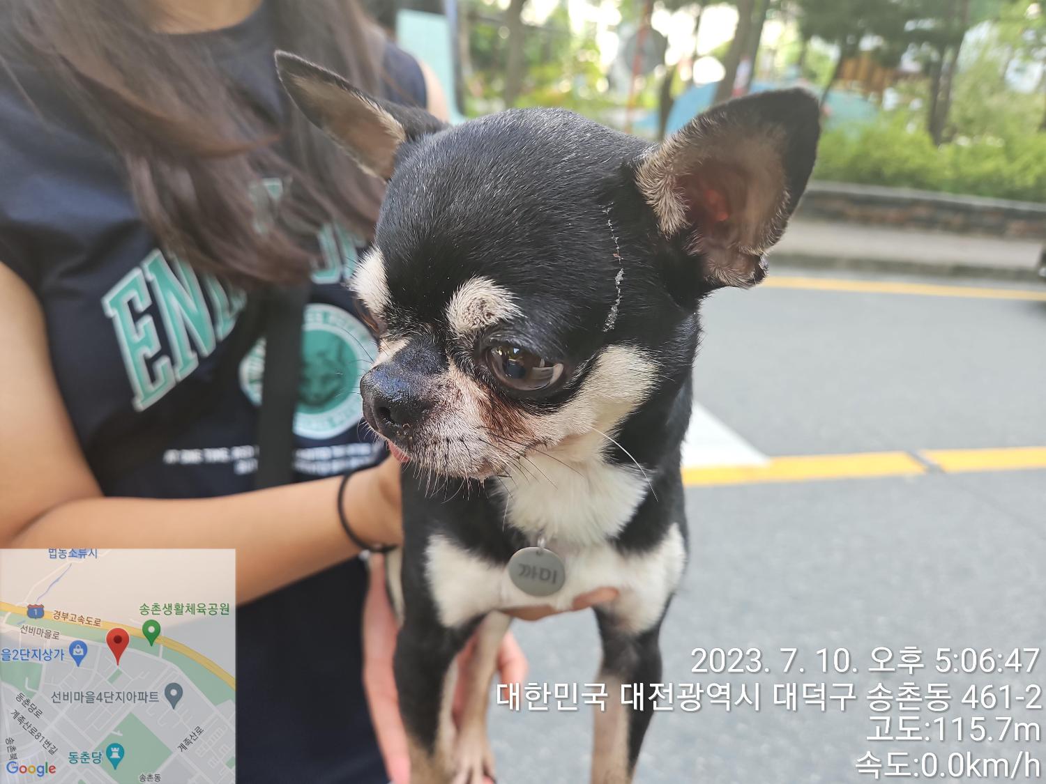 대전동물보호센터_430368202300317