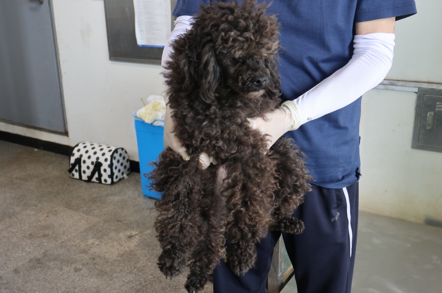 제주 동물보호센터_450650202302334