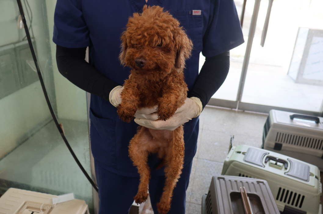 제주 동물보호센터_450650202302333