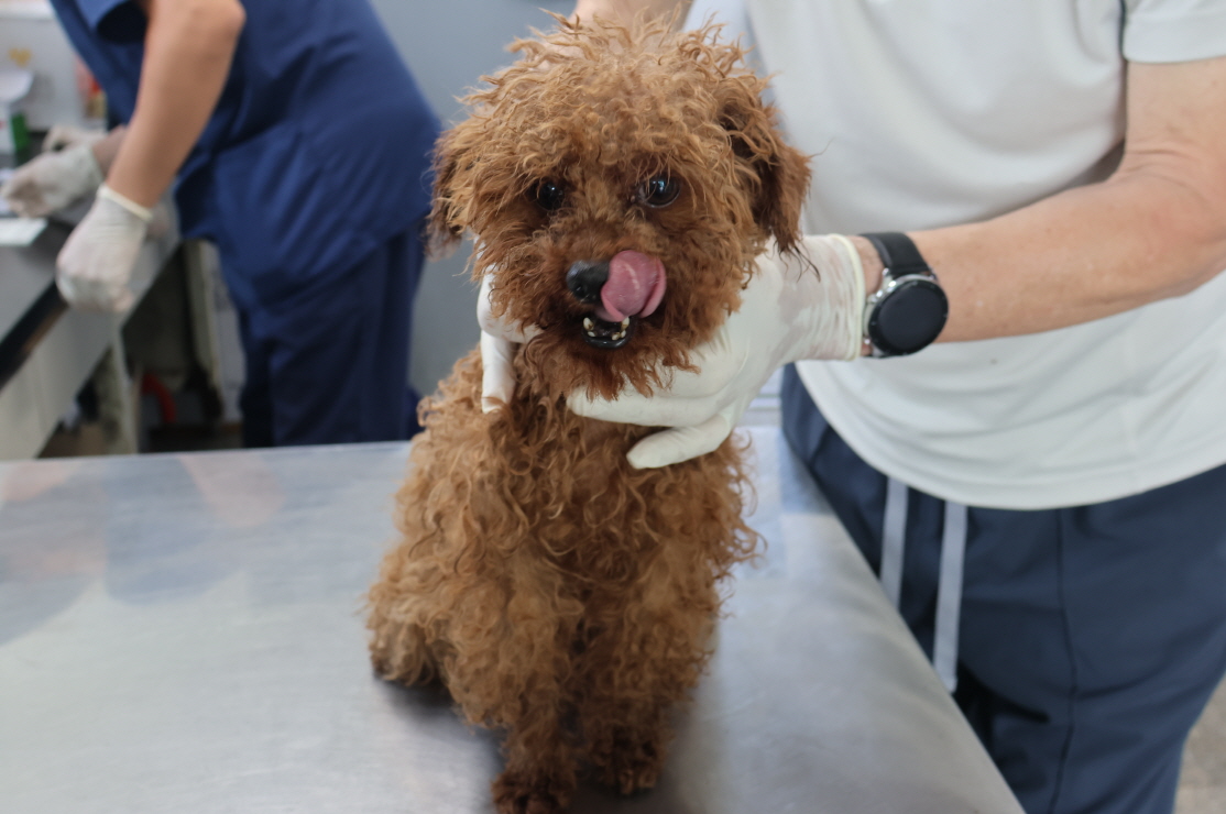 제주 동물보호센터_450650202302336