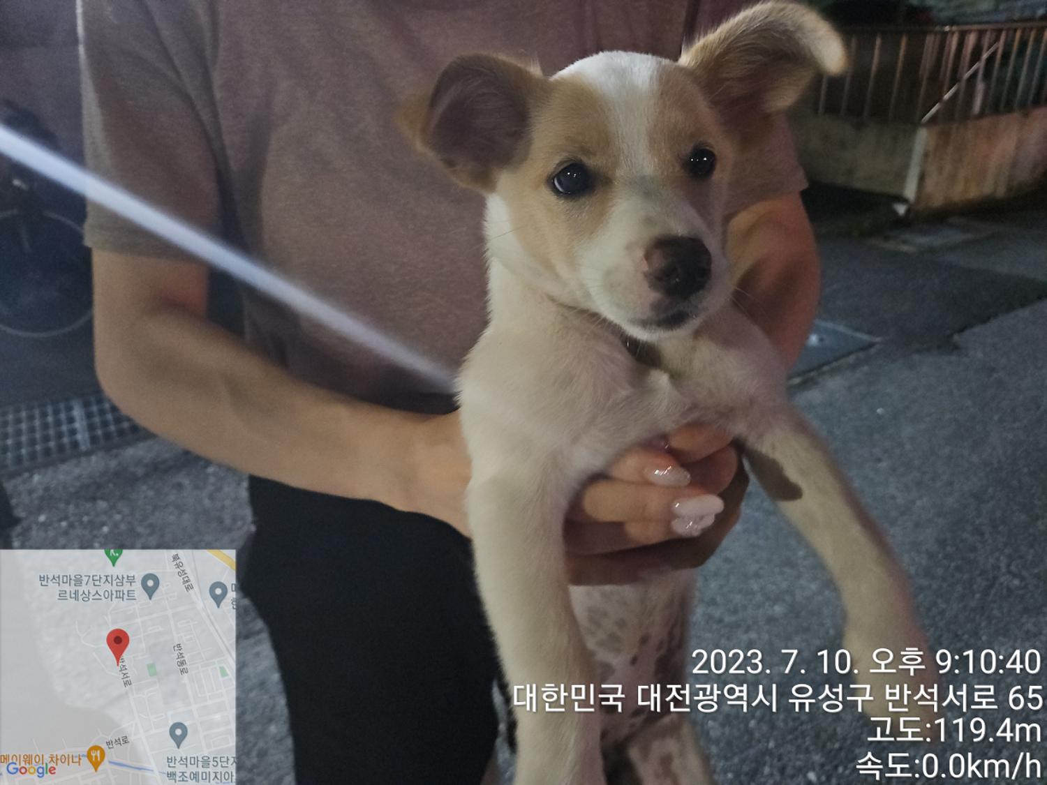 대전동물보호센터_430367202300410