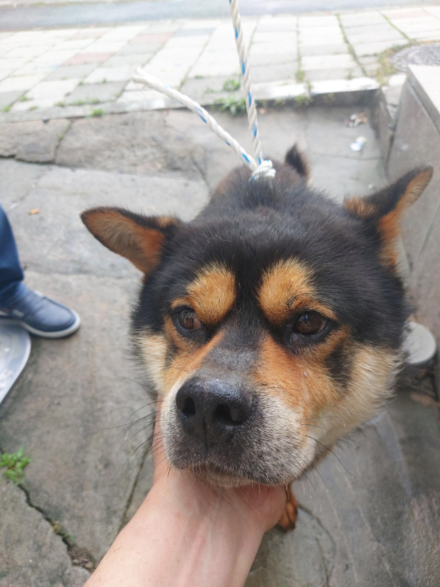 우리동물병원_428356202301124