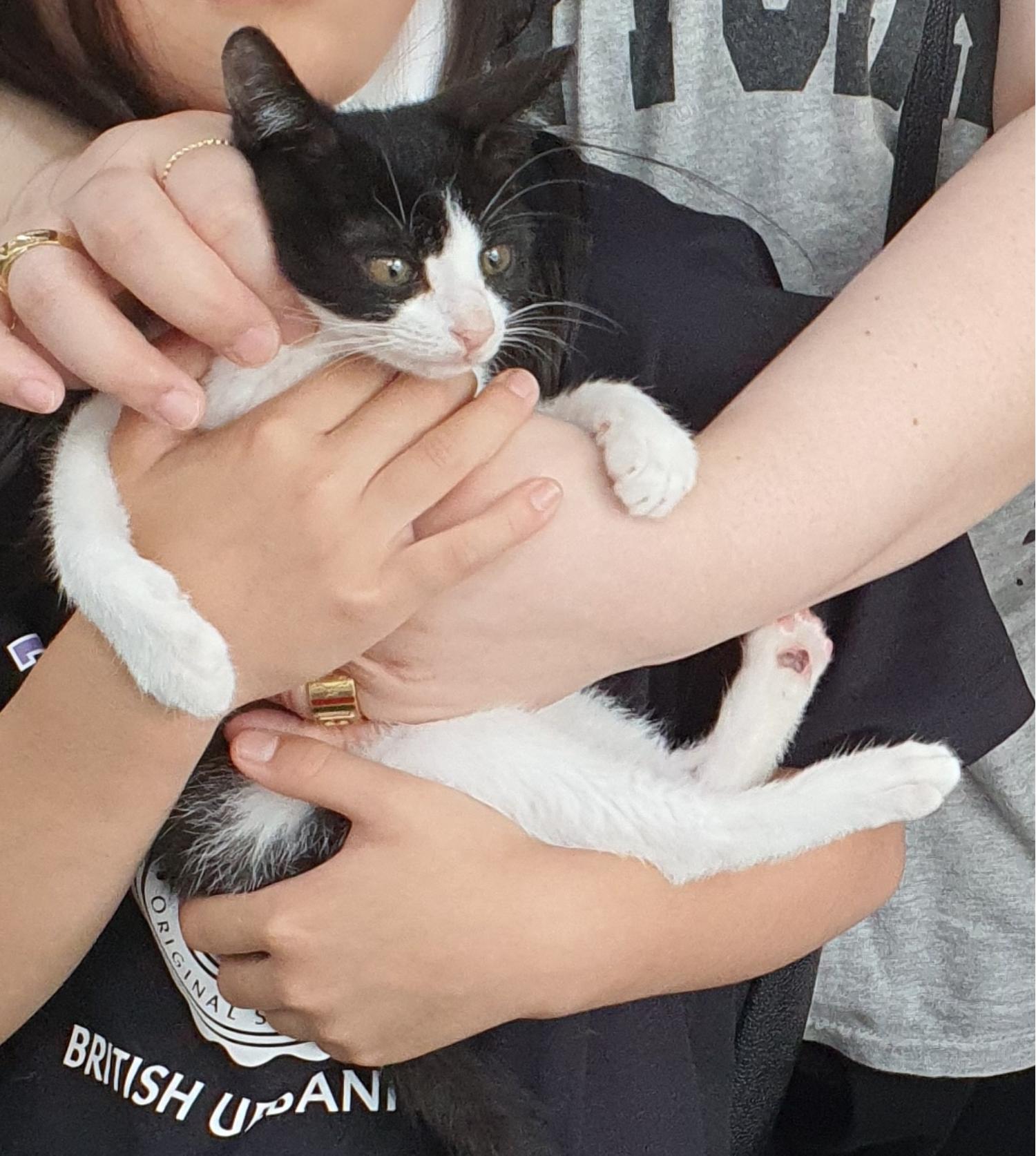 베스트동물병원_428357202300657