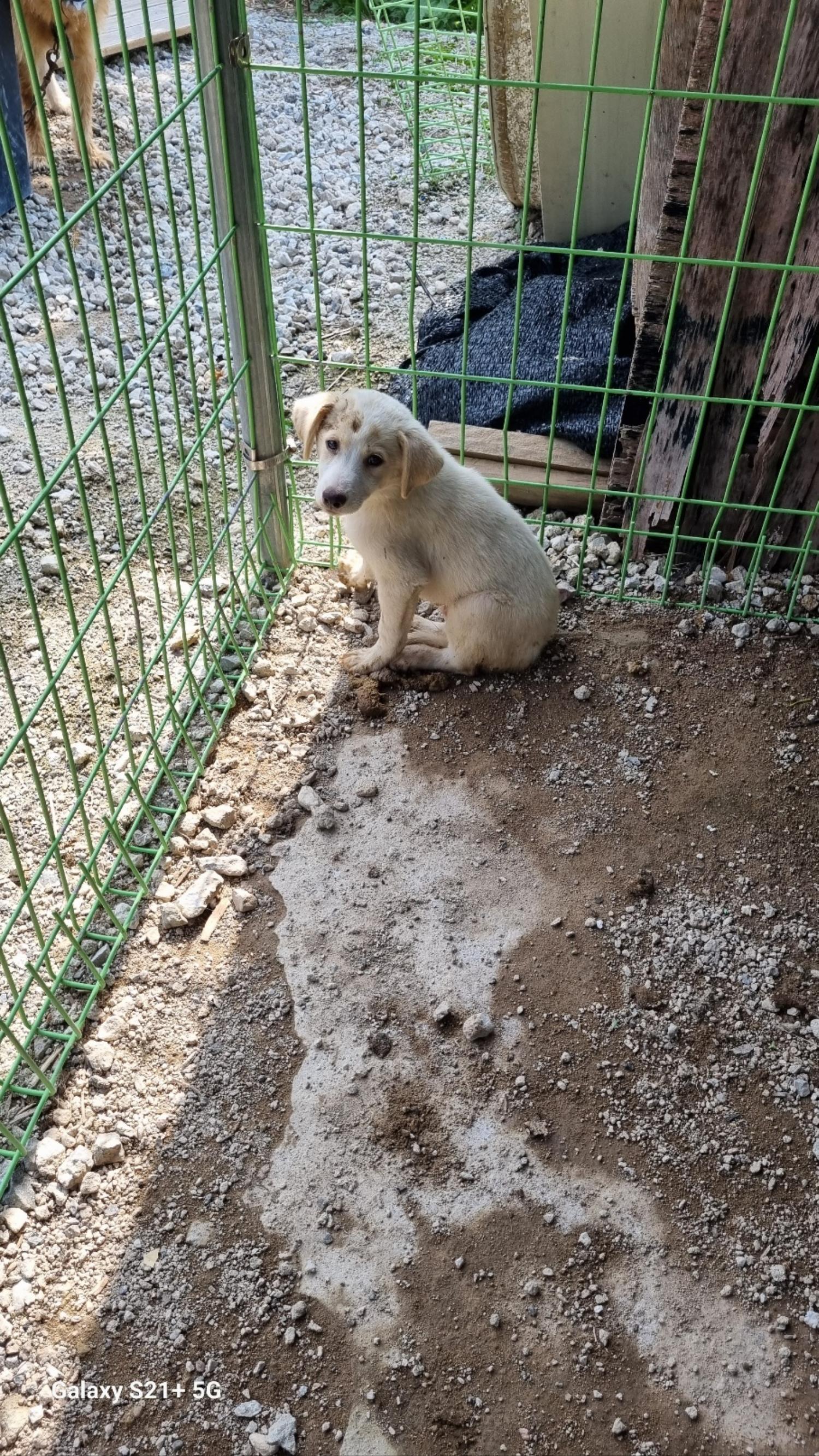전북말산업복합센터_445471202300171