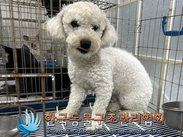 한국동물구조관리협회_411311202300606