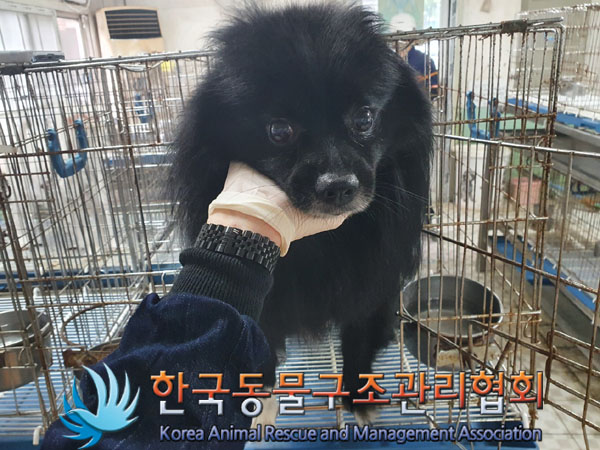 한국동물구조관리협회_411306202300474