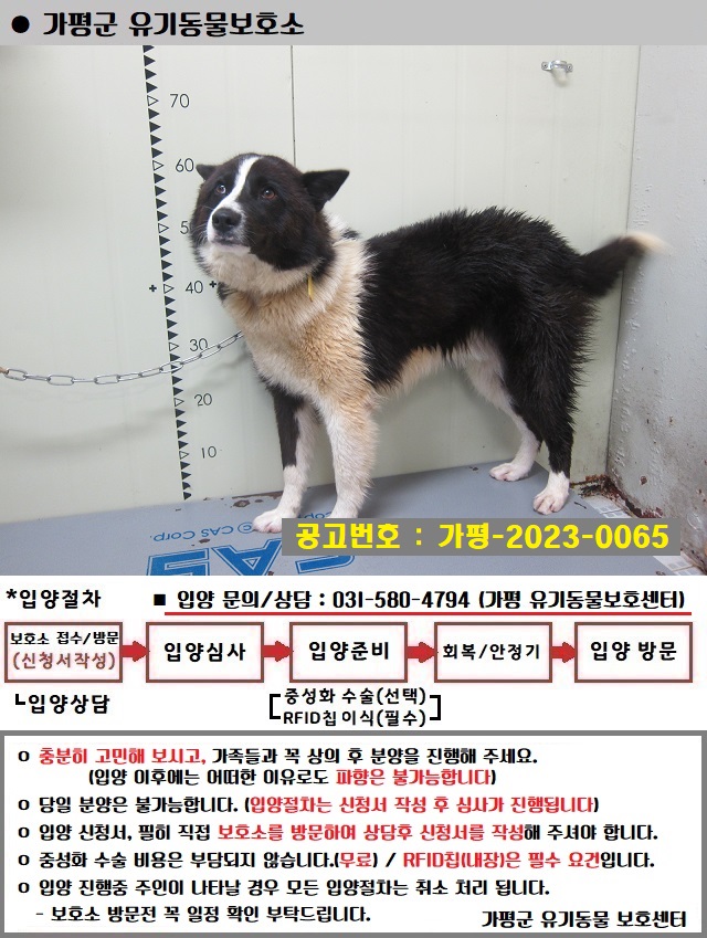 가평군유기동물보호소_441416202300298