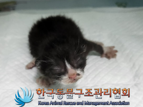 한국동물구조관리협회_411301202300363