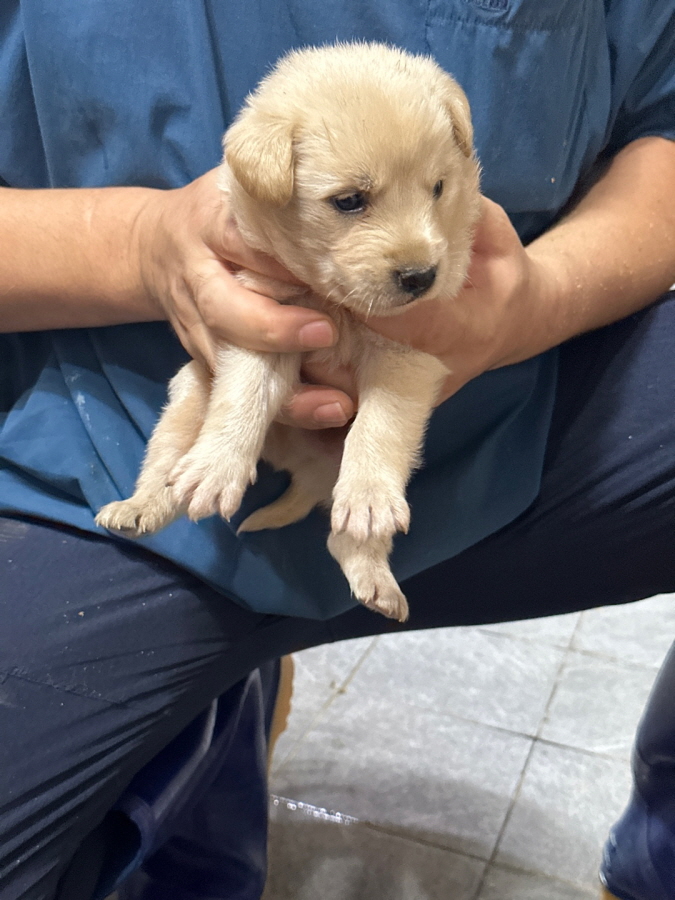 이성준동물병원_441408202300898