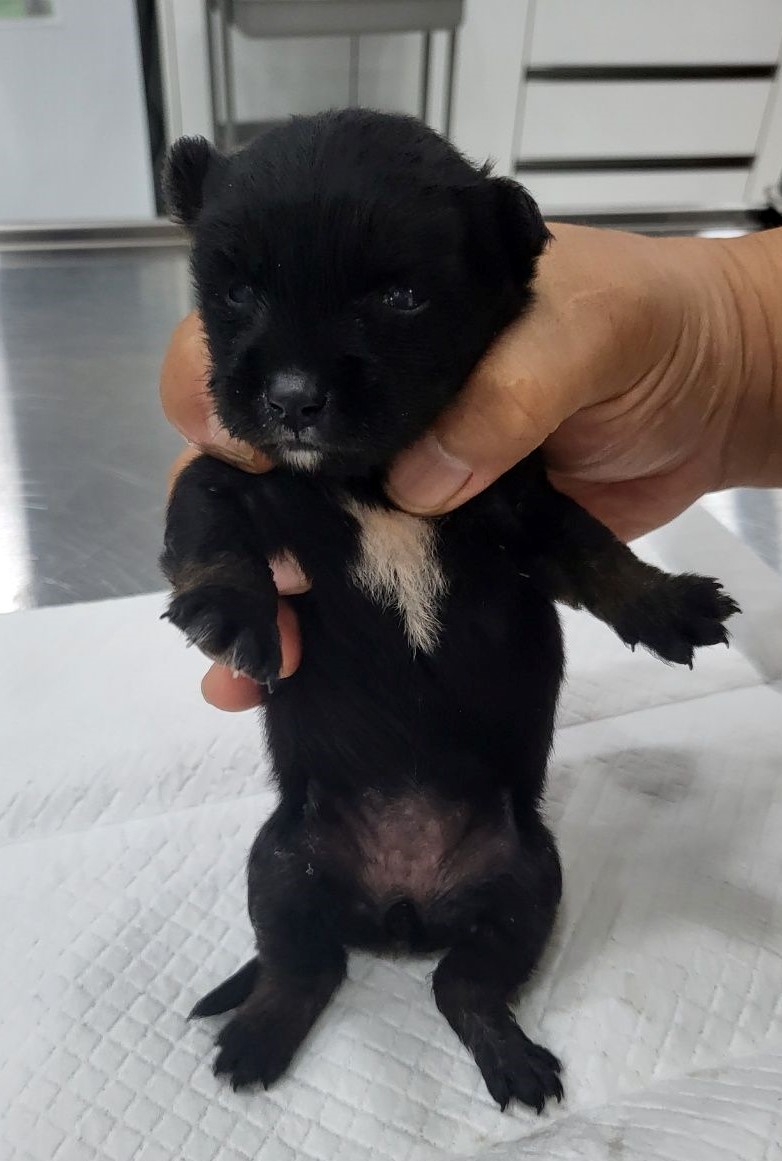 창녕 유기동물보호소_448541202301140