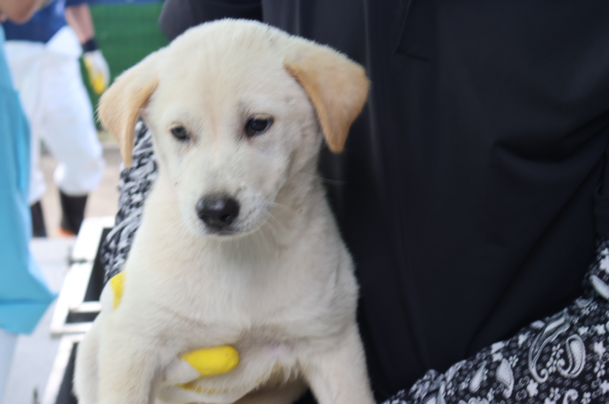 제주 동물보호센터_450650202302390