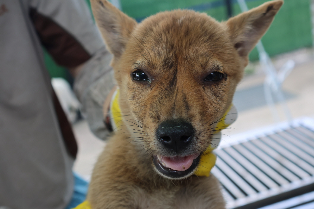 제주 동물보호센터_450650202302387