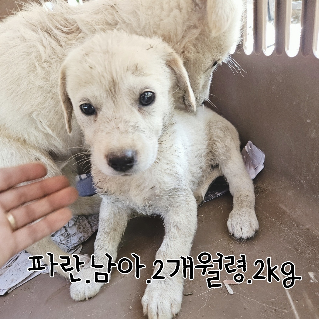 장성군동물보호센터_446498202300324