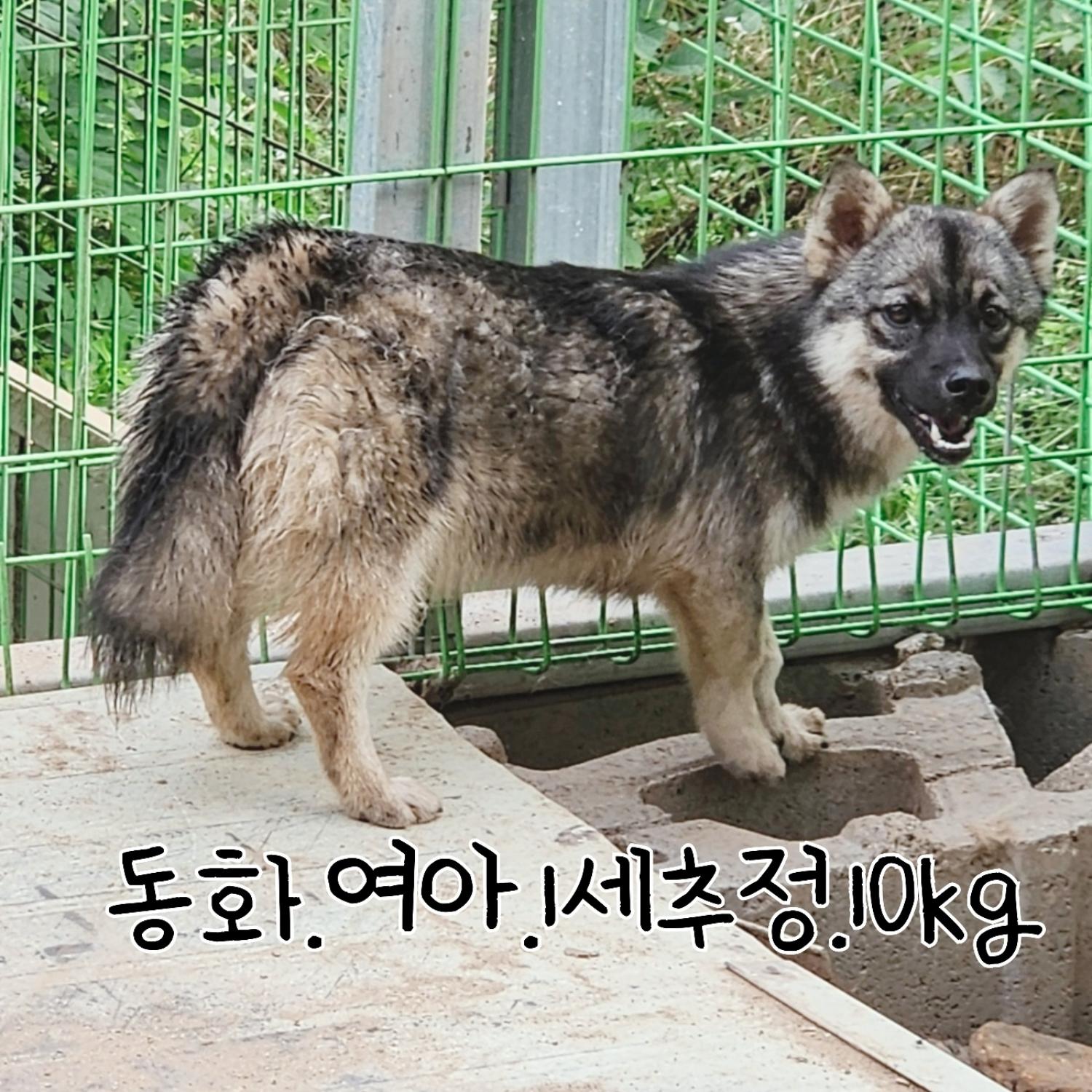 장성군동물보호센터_446498202300318