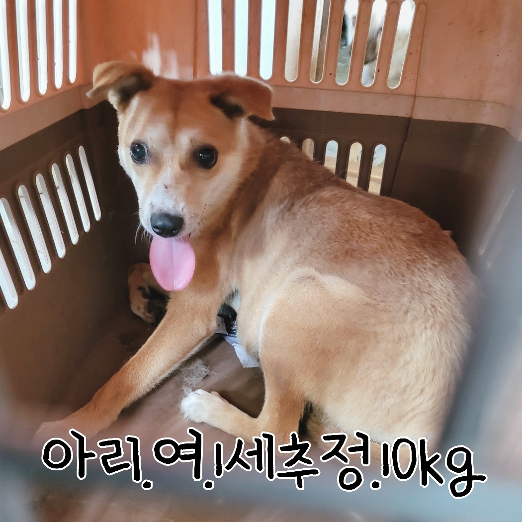 장성군동물보호센터_446498202300316