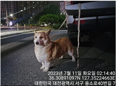 대전동물보호센터_430366202300421
