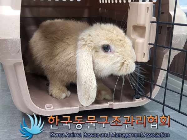 한국동물구조관리협회_411318202300307