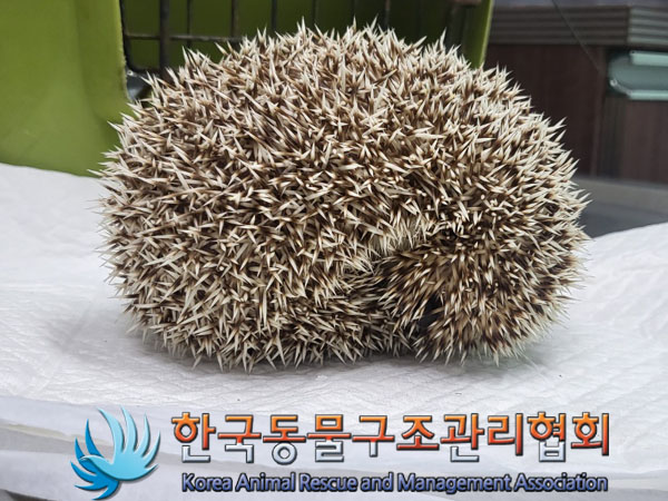 한국동물구조관리협회_411304202300460