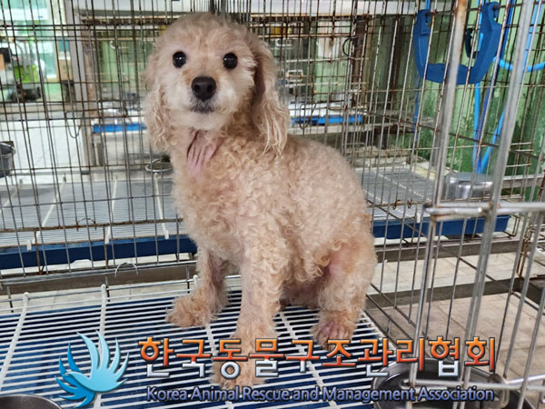 한국동물구조관리협회_441406202301025