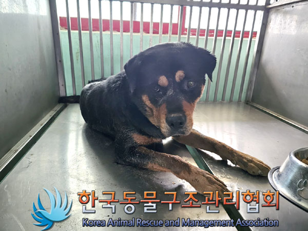 한국동물구조관리협회_441414202300487