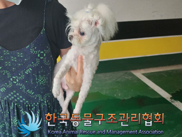 한국동물구조관리협회_411312202300492
