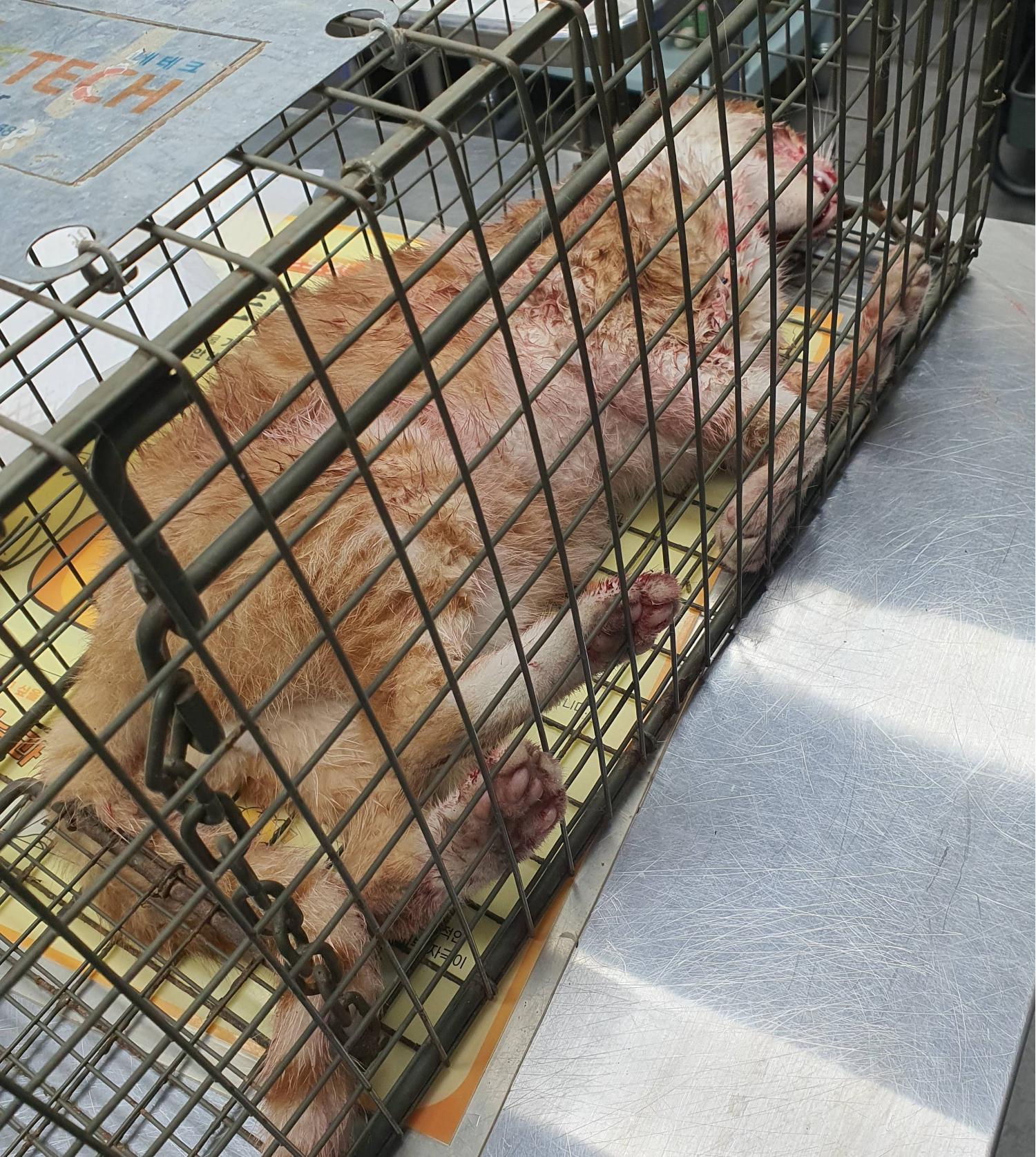 베스트동물병원_428357202300659