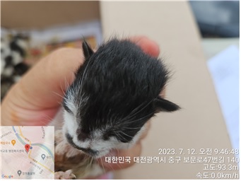 대전동물보호센터_430365202300324