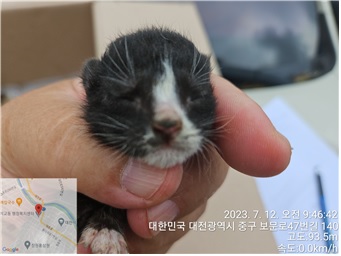 대전동물보호센터_430365202300323